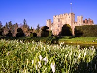 Hever Castle and Gardens 1086307 Image 7